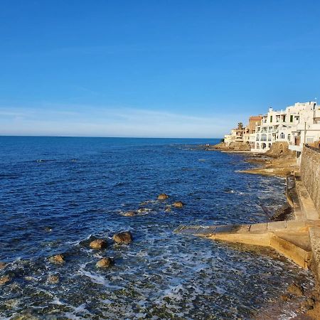 La Conchiglia Localita Caccia E Riserva Santa Marinella Exteriör bild